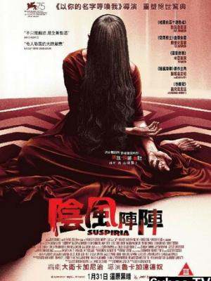 骑士之光